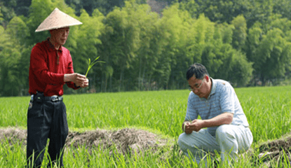 農(nóng)擔(dān)行業(yè)